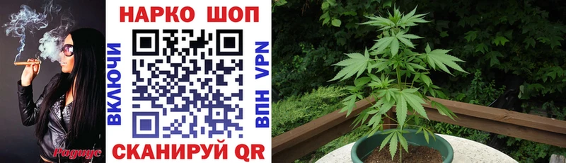 Наркотические вещества Тогучин ГАШИШ Alpha PVP Мефедрон Cocaine