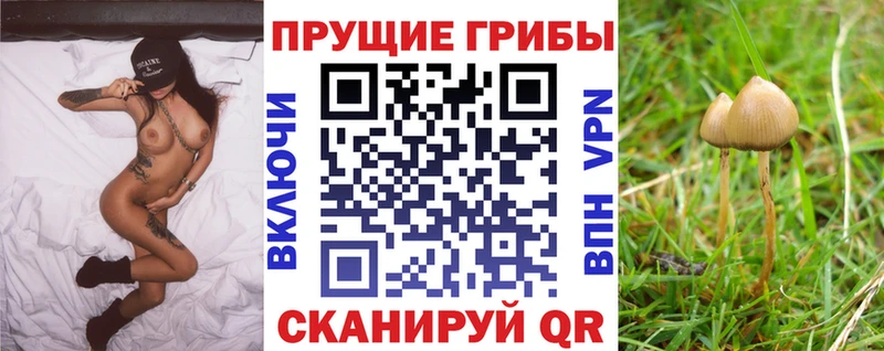 Галлюциногенные грибы GOLDEN TEACHER  Тогучин 